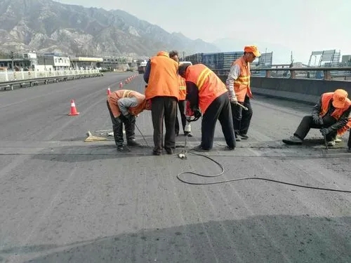 大厂道路桥梁病害治理